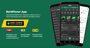 Comprehensive Guide to BetWinner Deposit Options