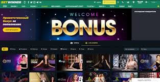 Comprehensive Guide to BetWinner Sportsbook A Premier Betting Experience